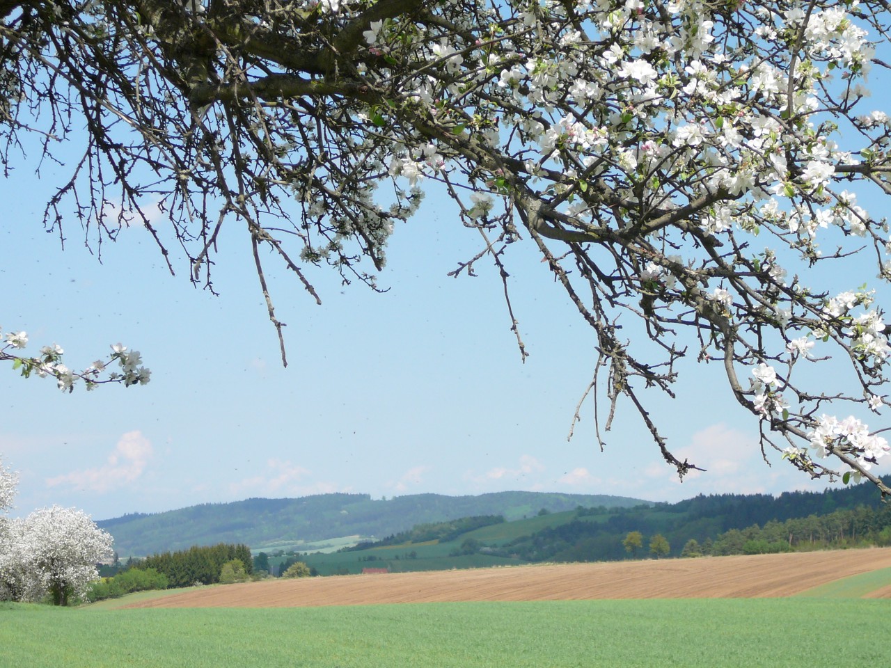 Obrázek